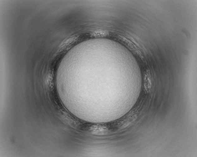 X0000115510714200911201639