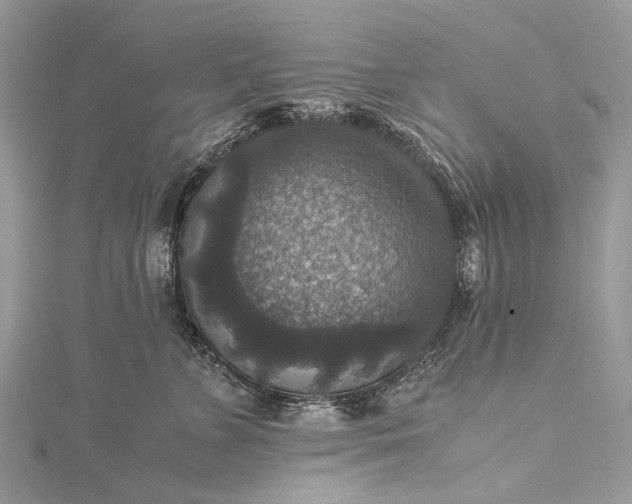 X0000115510715200911201639