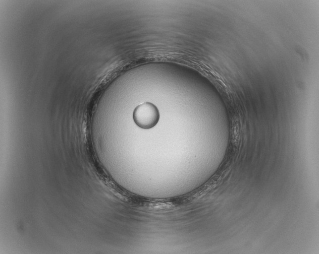 X0000115510716200911201639