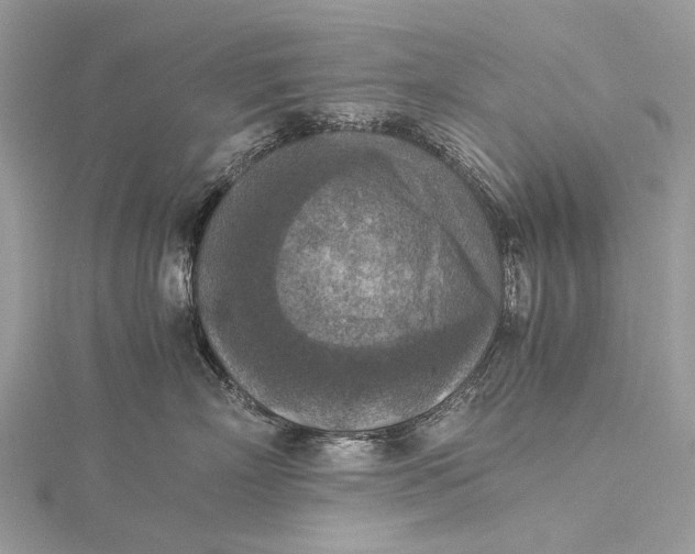 X0000115510718200911201639