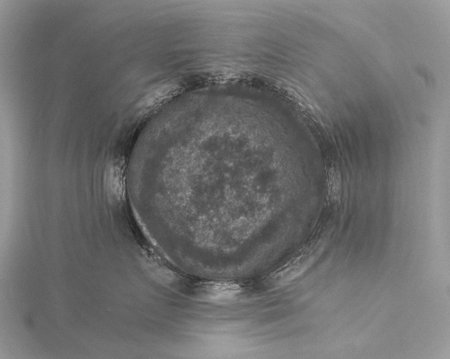 X0000115510719200911201639