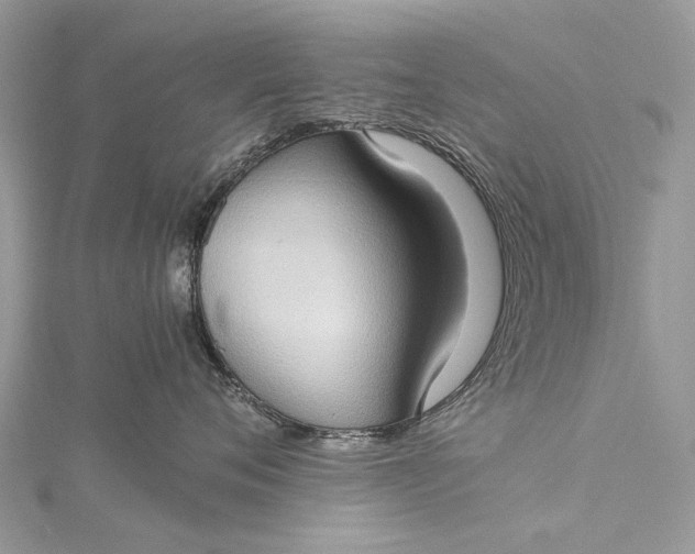 X0000115510720200911201639