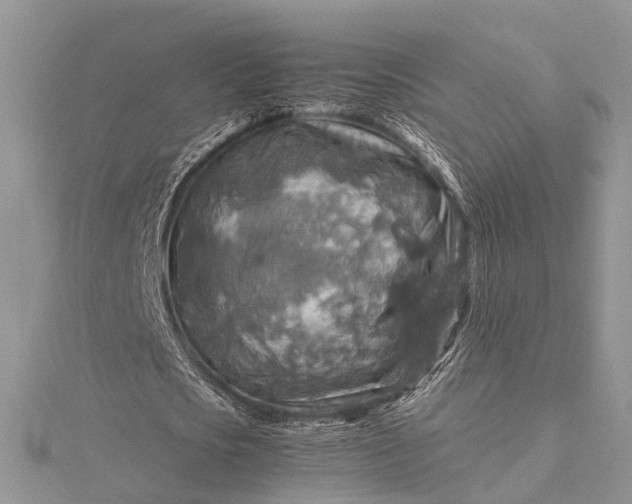 X0000115510721200911201638