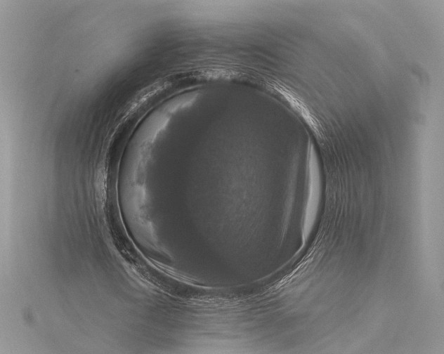 X0000115510722200911201638