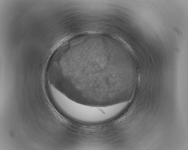 X0000115510725200911201638