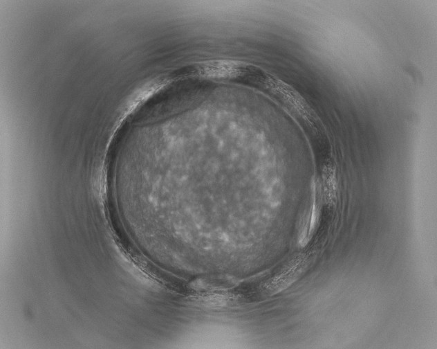 X0000115510726200911201638