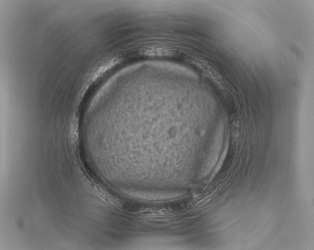 X0000115510727200911201638