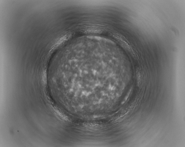 X0000115510729200911201638