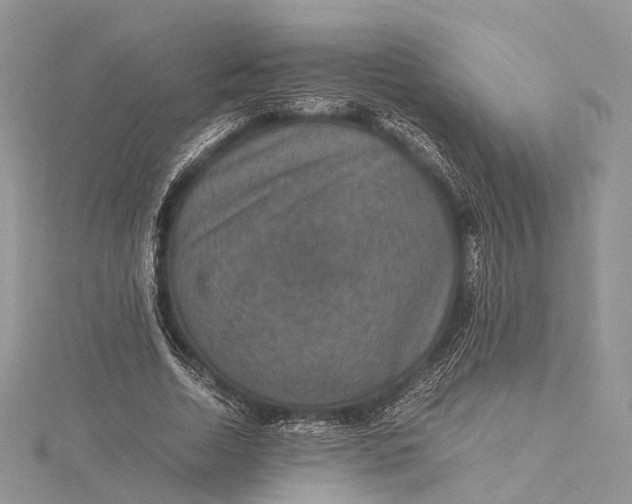 X0000115510730200911201638