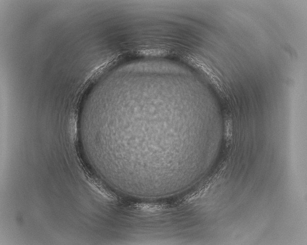 X0000115510733200911201638