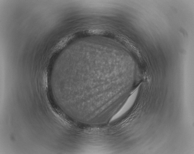 X0000115510734200911201638