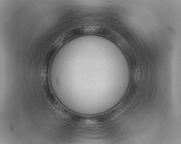 X0000115510737200911201638