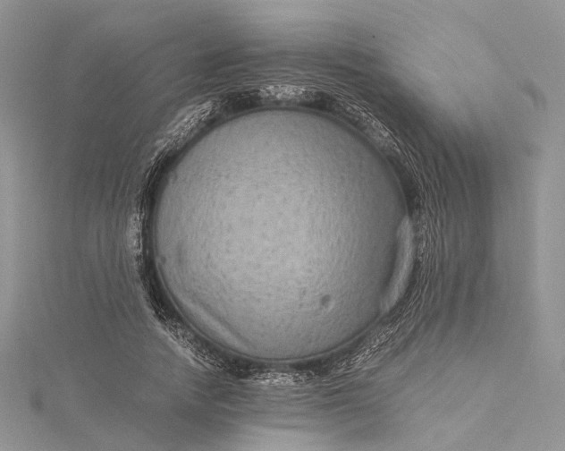 X0000115510738200911201638