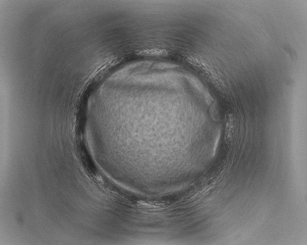 X0000115510739200911201638