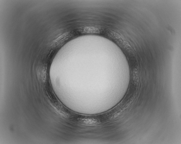 X0000115510741200911201638