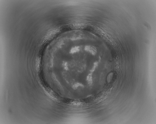 X0000115510742200911201638