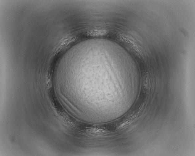 X0000115510743200911201638