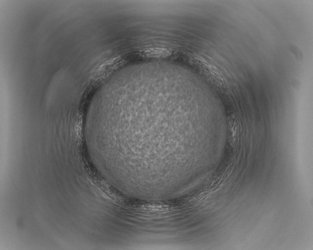 X0000115510745200911201638