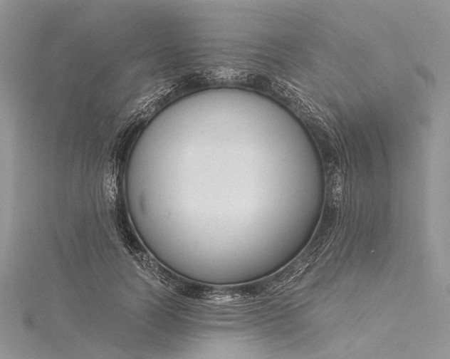 X0000115510746200911201638