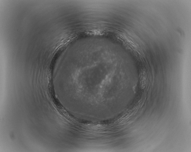 X0000115510747200911201638