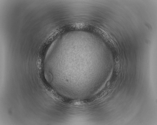 X0000115510750200911201638