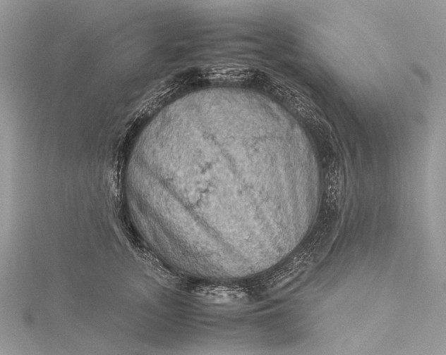 X0000115510755200911201638