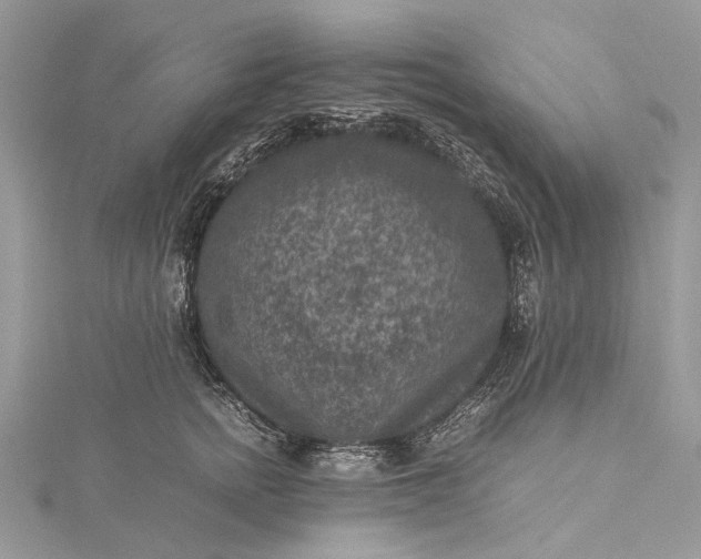 X0000115510758200911201638