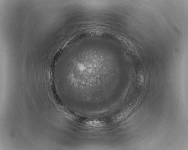 X0000115510759200911201638