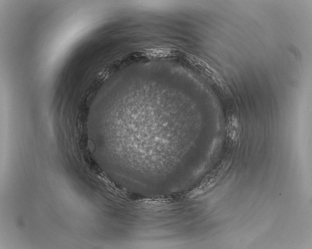 X0000115510763200911201638