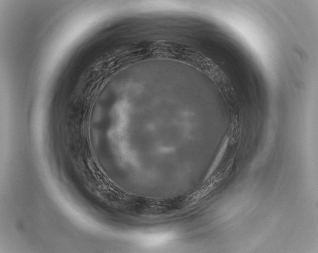 X0000115510765200911201638