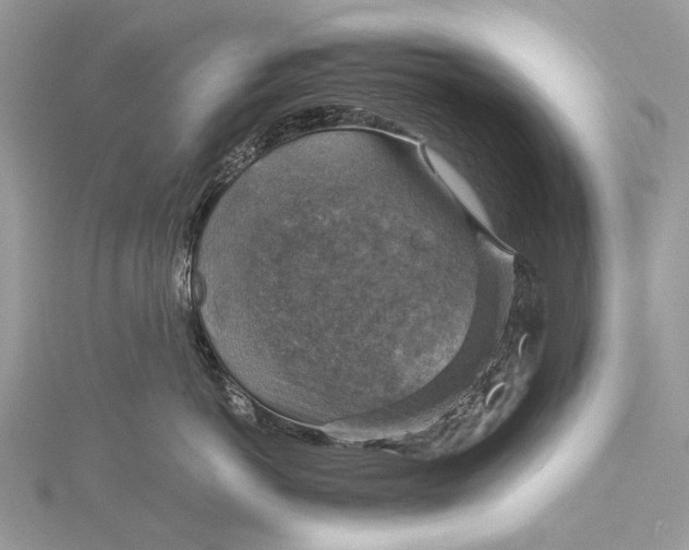 X0000115510766200911201638