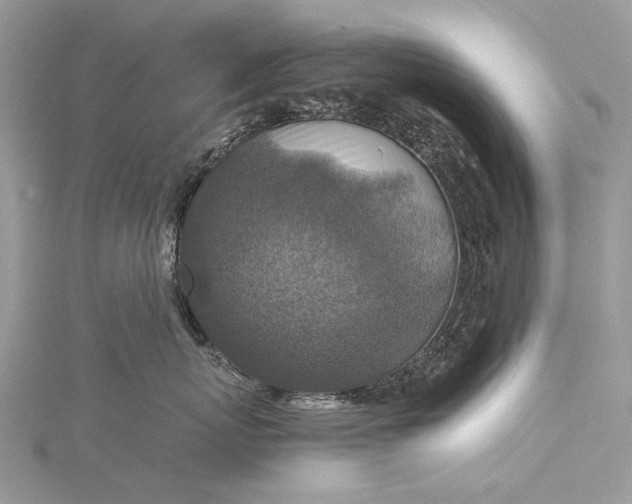 X0000115510767200911201639