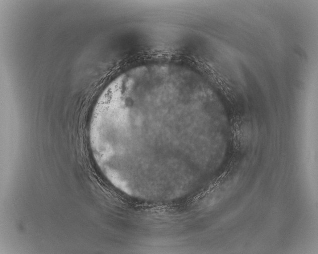 X0000115510769200911201638