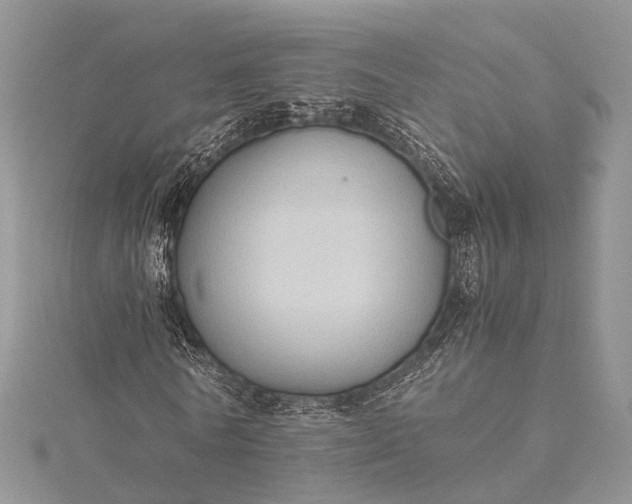 X0000115510770200911201638