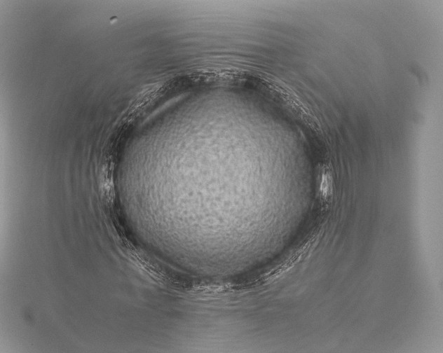 X0000115510771200911201638