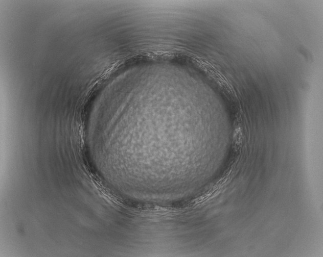 X0000115510772200911201638