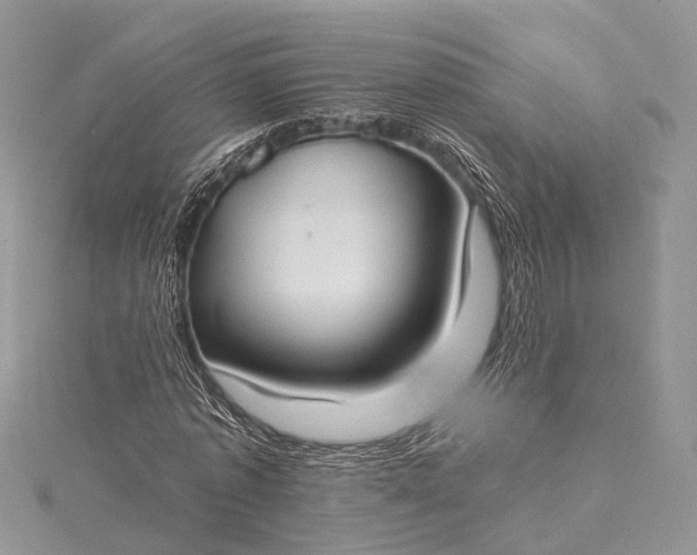 X0000115510773200911201638