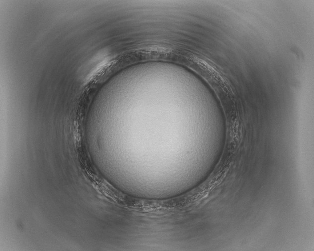 X0000115510774200911201638