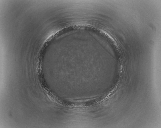 X0000115510775200911201638