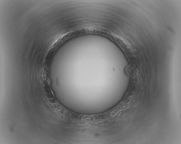 X0000115510776200911201638