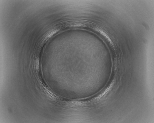 X0000115510777200911201638