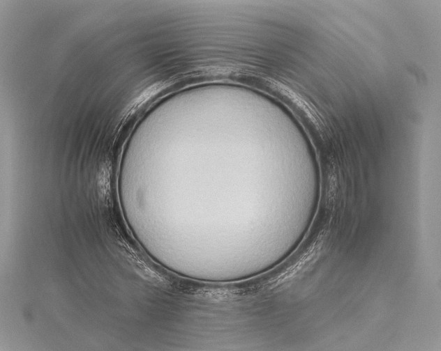 X0000115510778200911201638