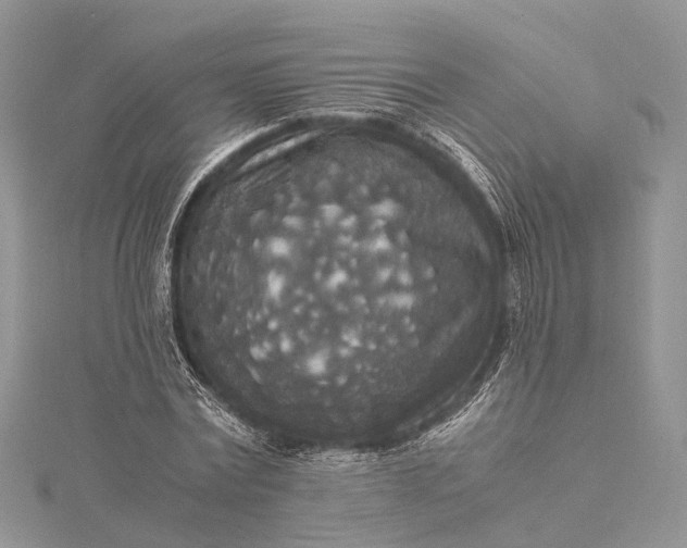 X0000115510779200911201638