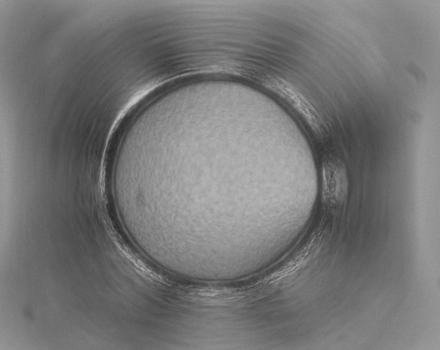 X0000115510780200911201638