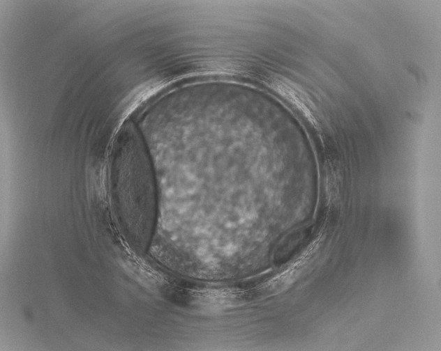 X0000115510781200911201638