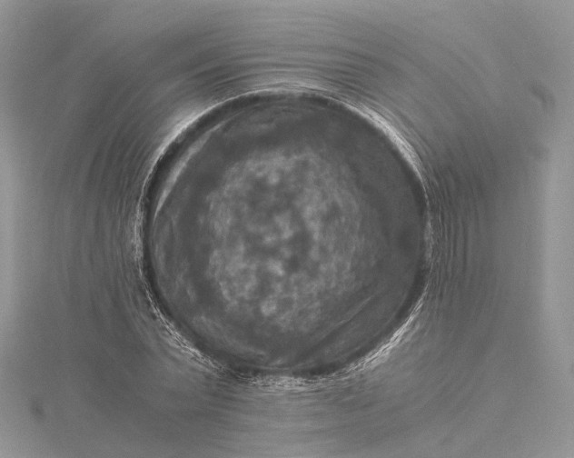 X0000115510783200911201638