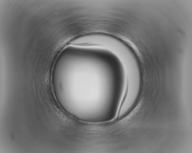 X0000115510785200911201638