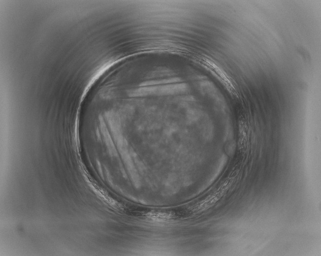 X0000115510788200911201638