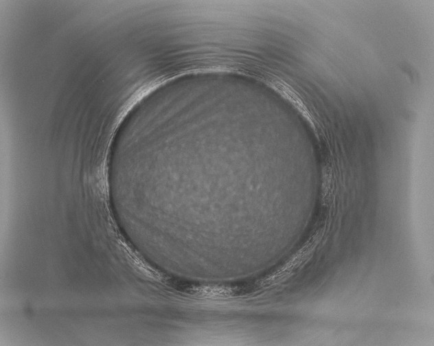 X0000115510789200911201638