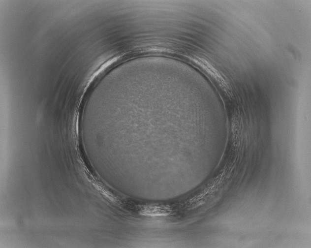 X0000115510790200911201638